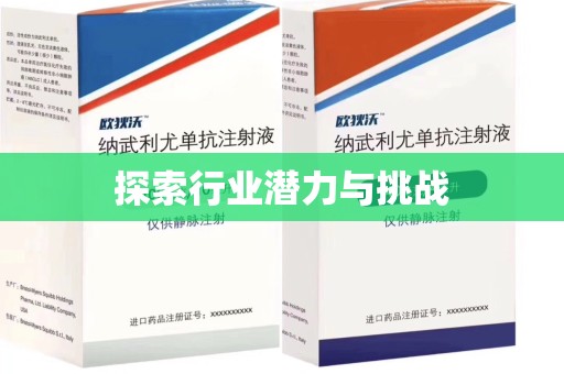 南昌探索行业潜力与挑战