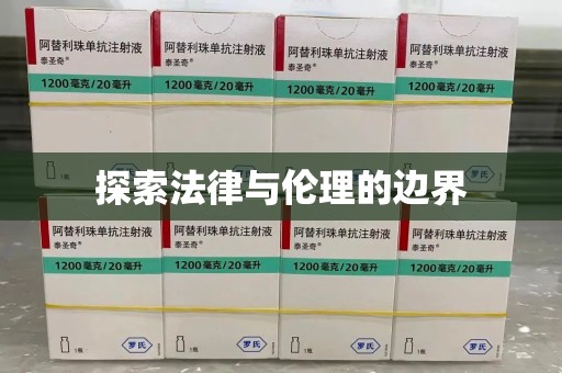 南昌探索法律与伦理的边界