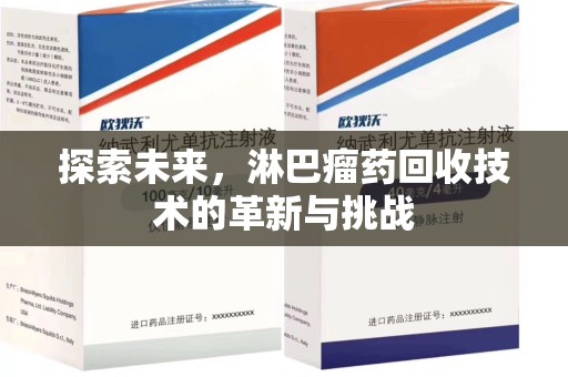南昌探索未来，淋巴瘤药回收技术的革新与挑战