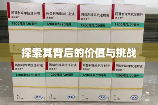 南昌探索其背后的价值与挑战