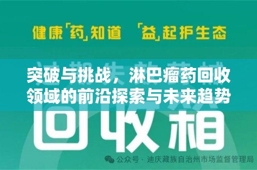 南昌突破与挑战，淋巴瘤药回收领域的前沿探索与未来趋势